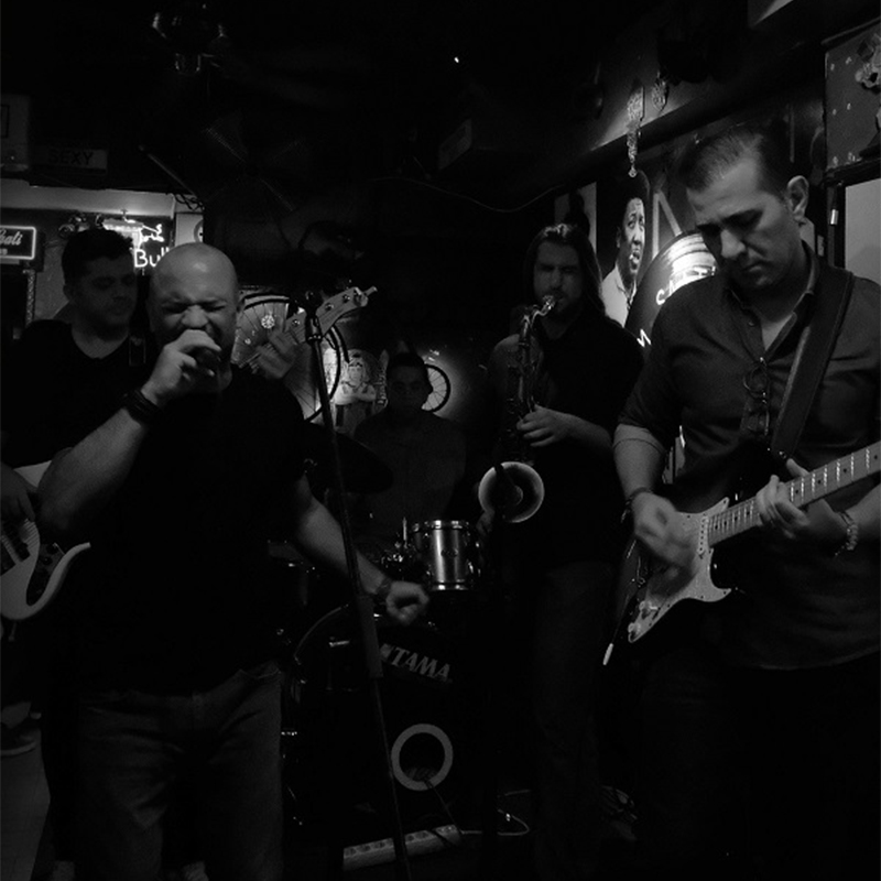 Beerbugs Band --