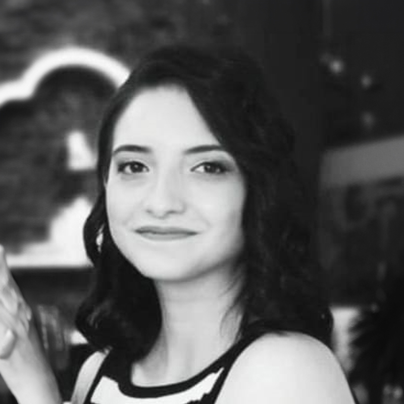 Alev Abaydın