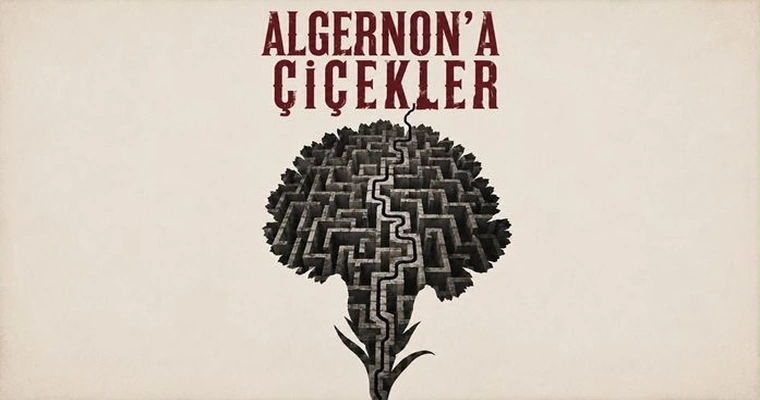 Algernon'a Çiçekler