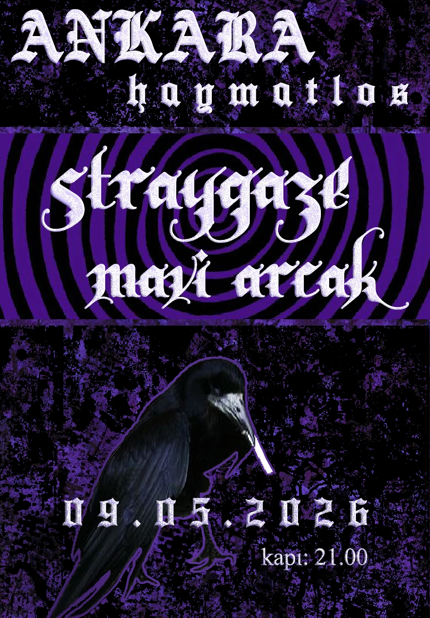 Straygaze  -  Mavi Arcak