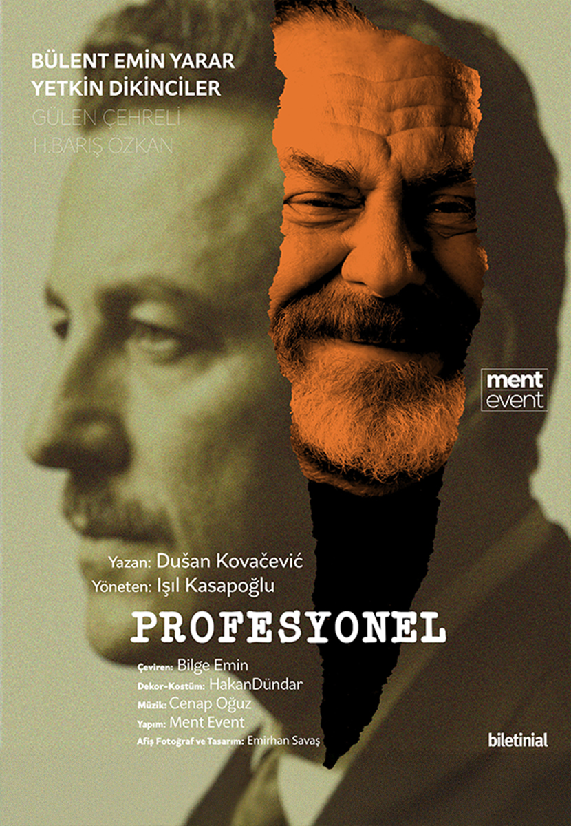 Profesyonel