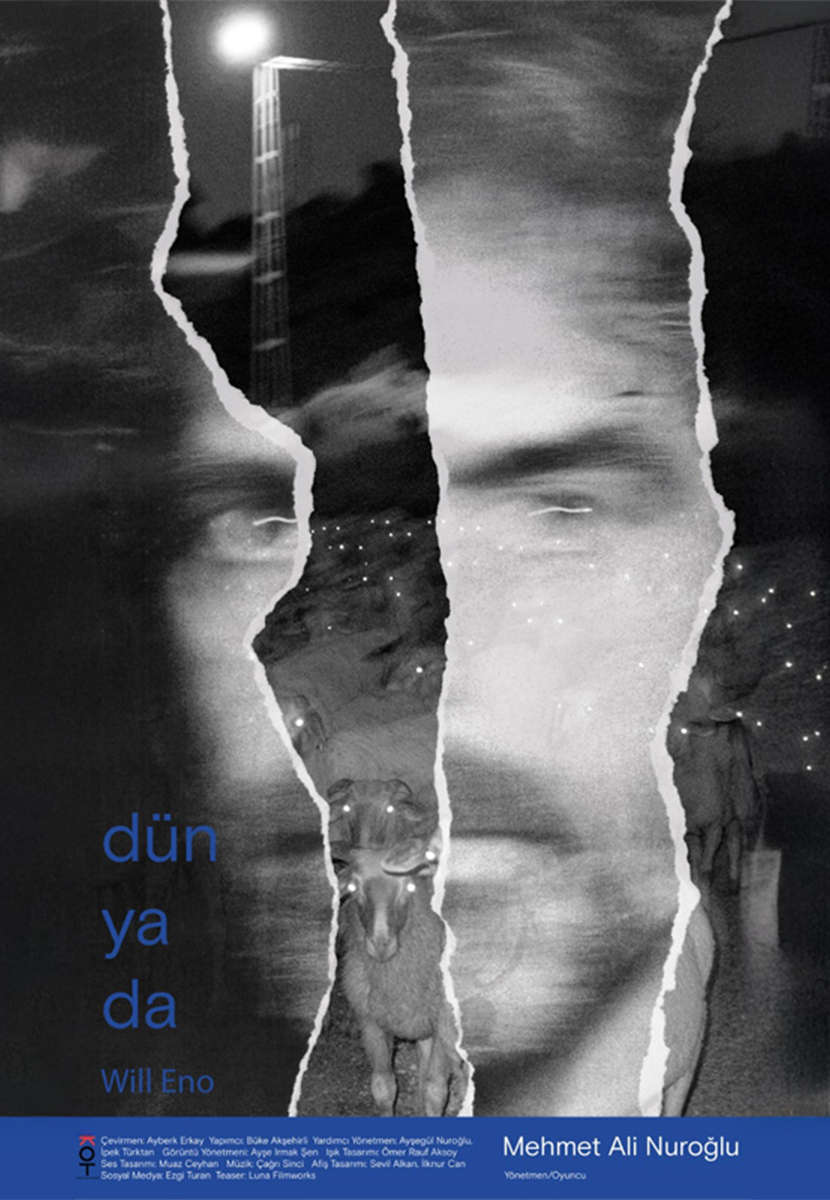 Dünyada