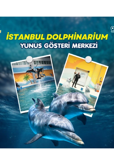 İstanbul Dolphinarium Yunus Gösteri Merkezi