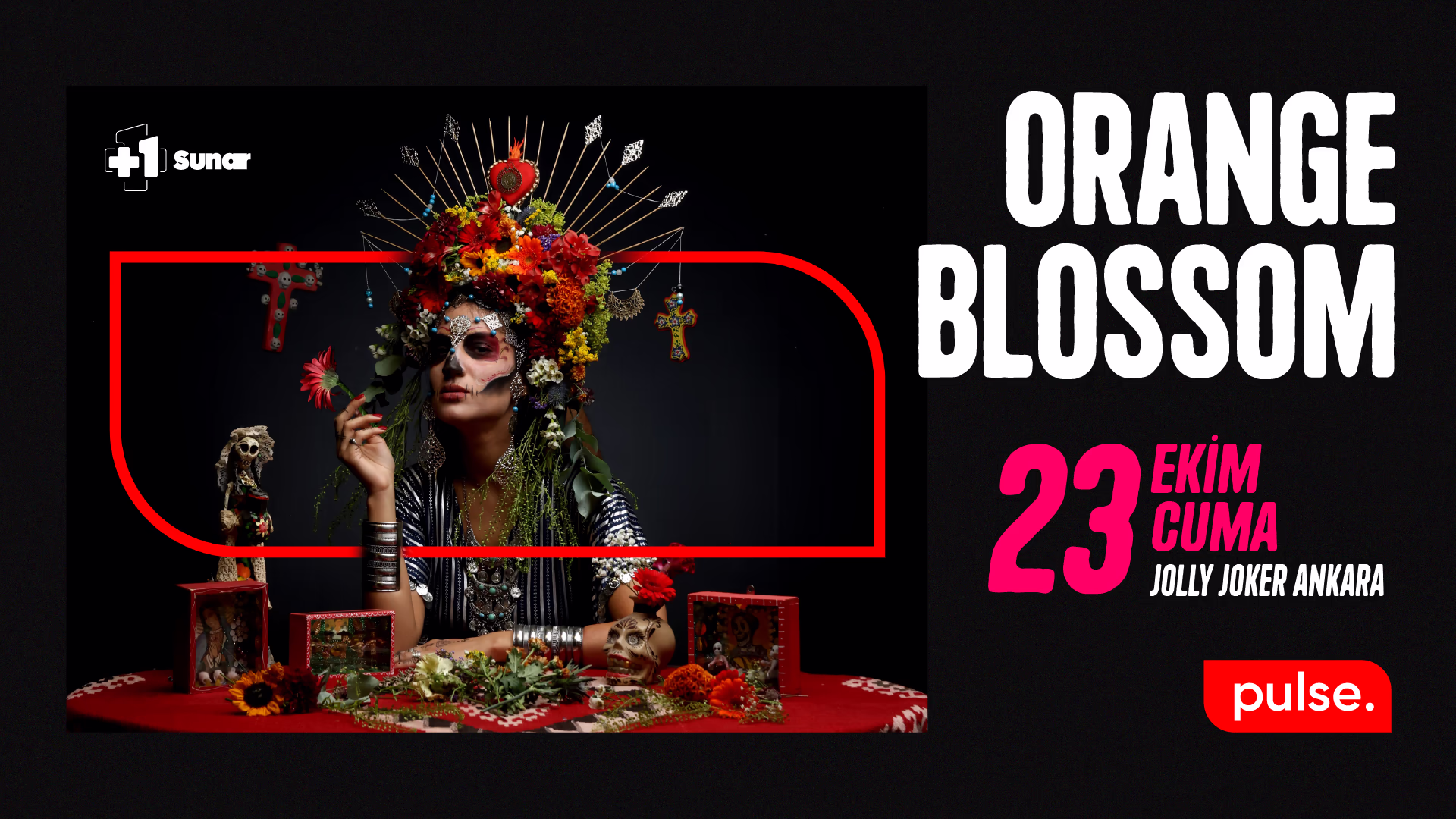 +1 Sunar: Orange Blossom
