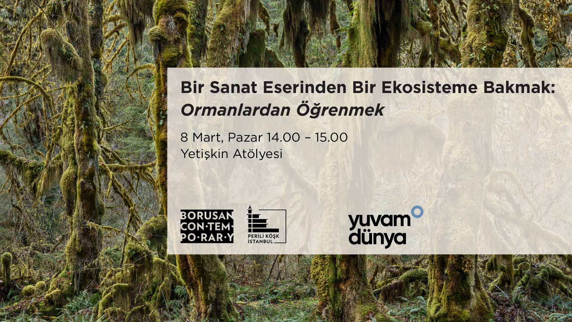 Bir Sanat Eserinden Bir Ekosisteme Bakmak: Ormanlardan Öğrenmek 
(Yetişkinlere Yönelik Atölye)
