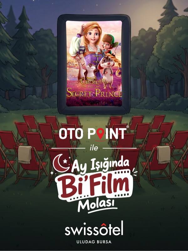 Cindrella and the Secret Prince