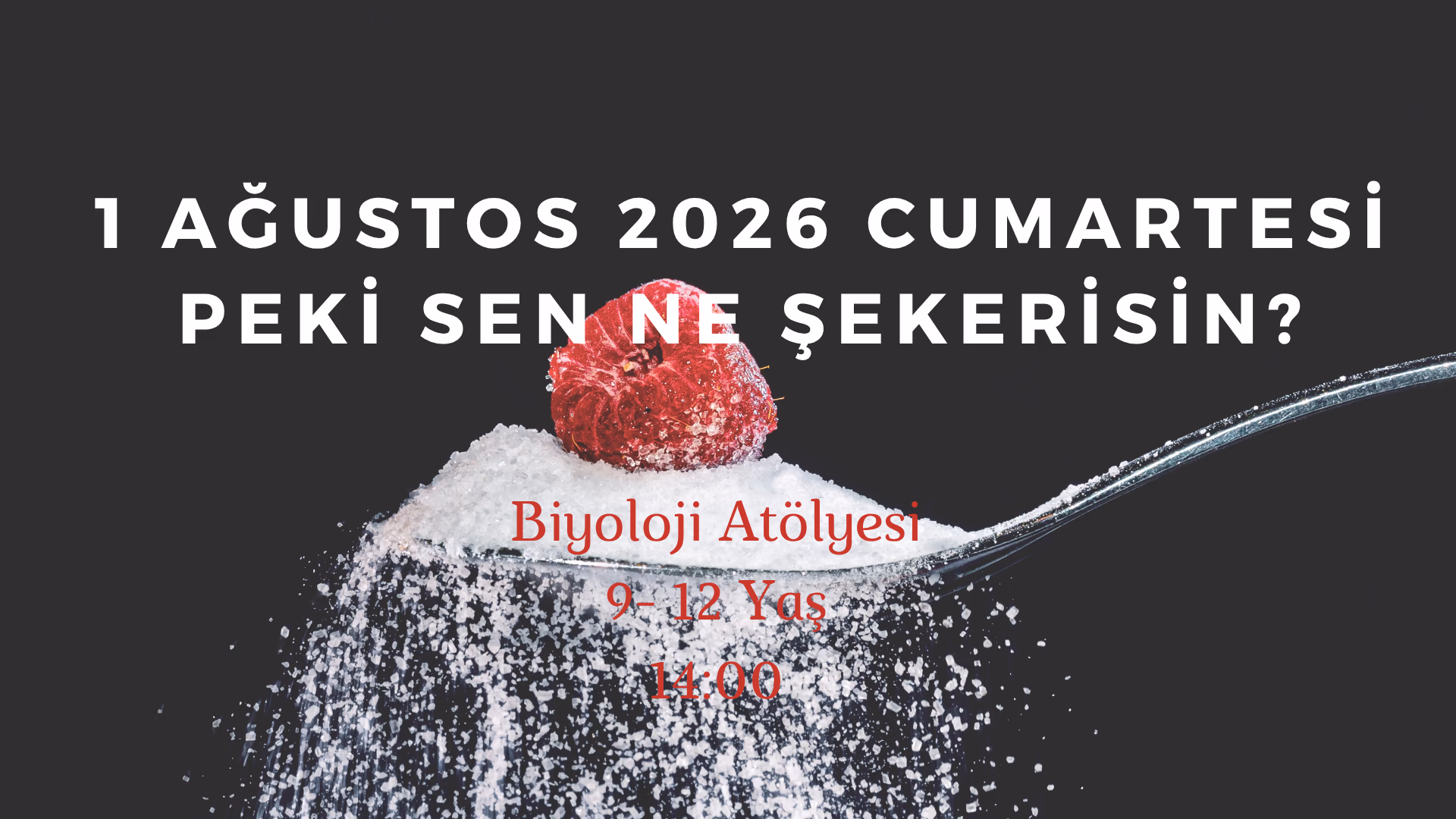 Peki Sen Ne Şekerisin? 9-12 Yaş