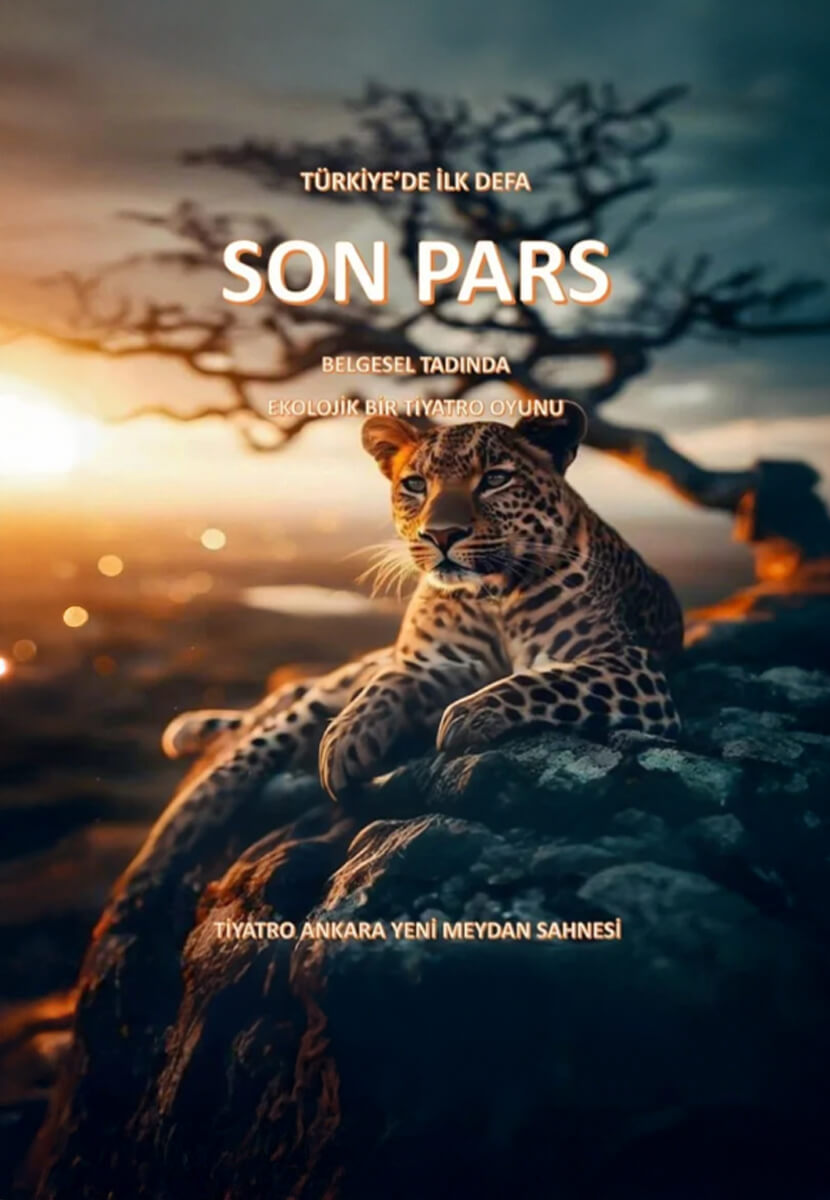 Son Pars