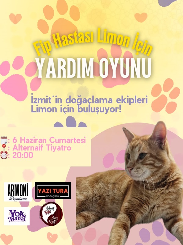 Yardım Oyunu