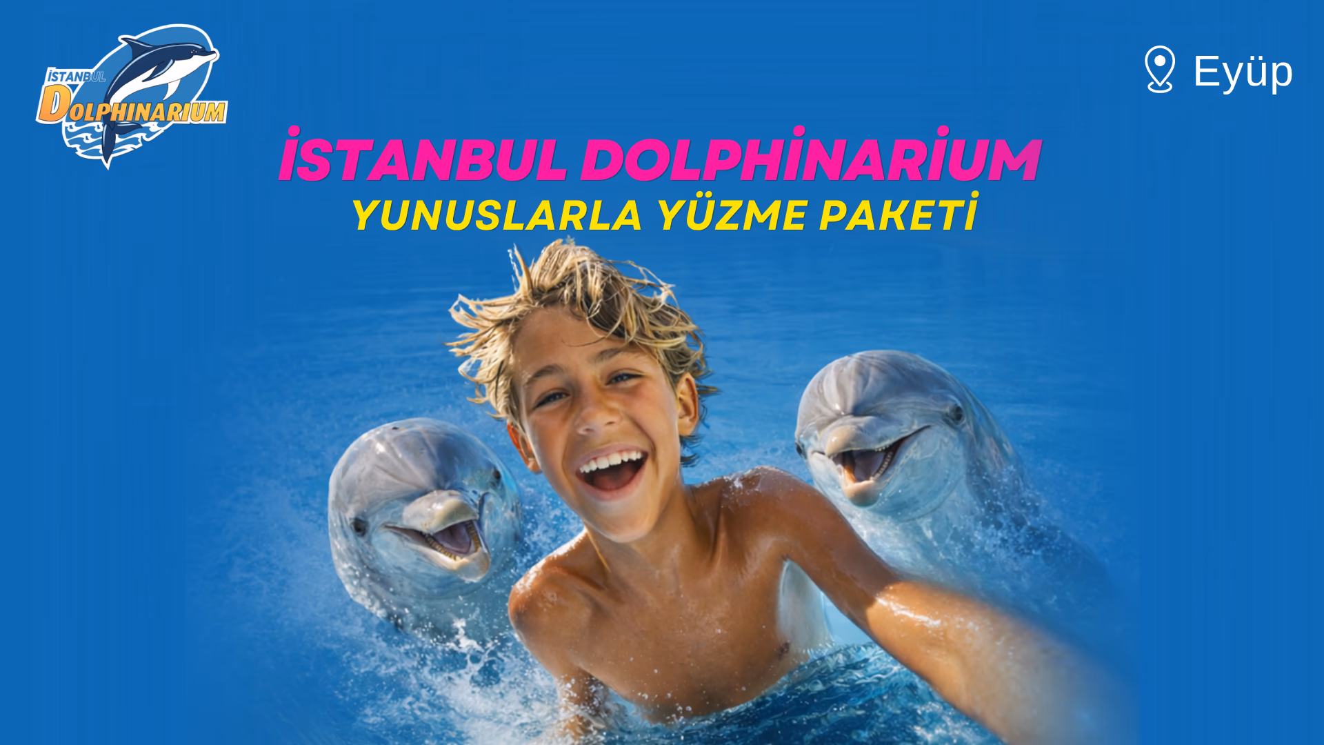 İstanbul Dolphinarium Yunuslarla Yüzme