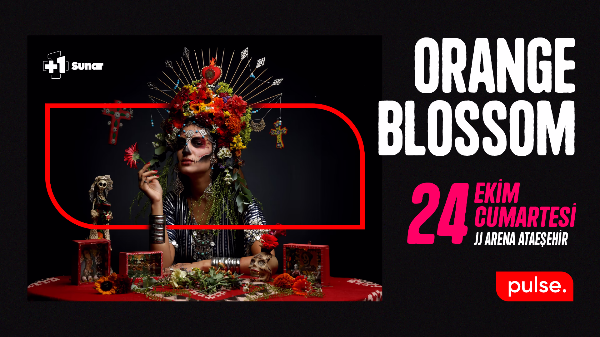+1 Sunar: Orange Blossom