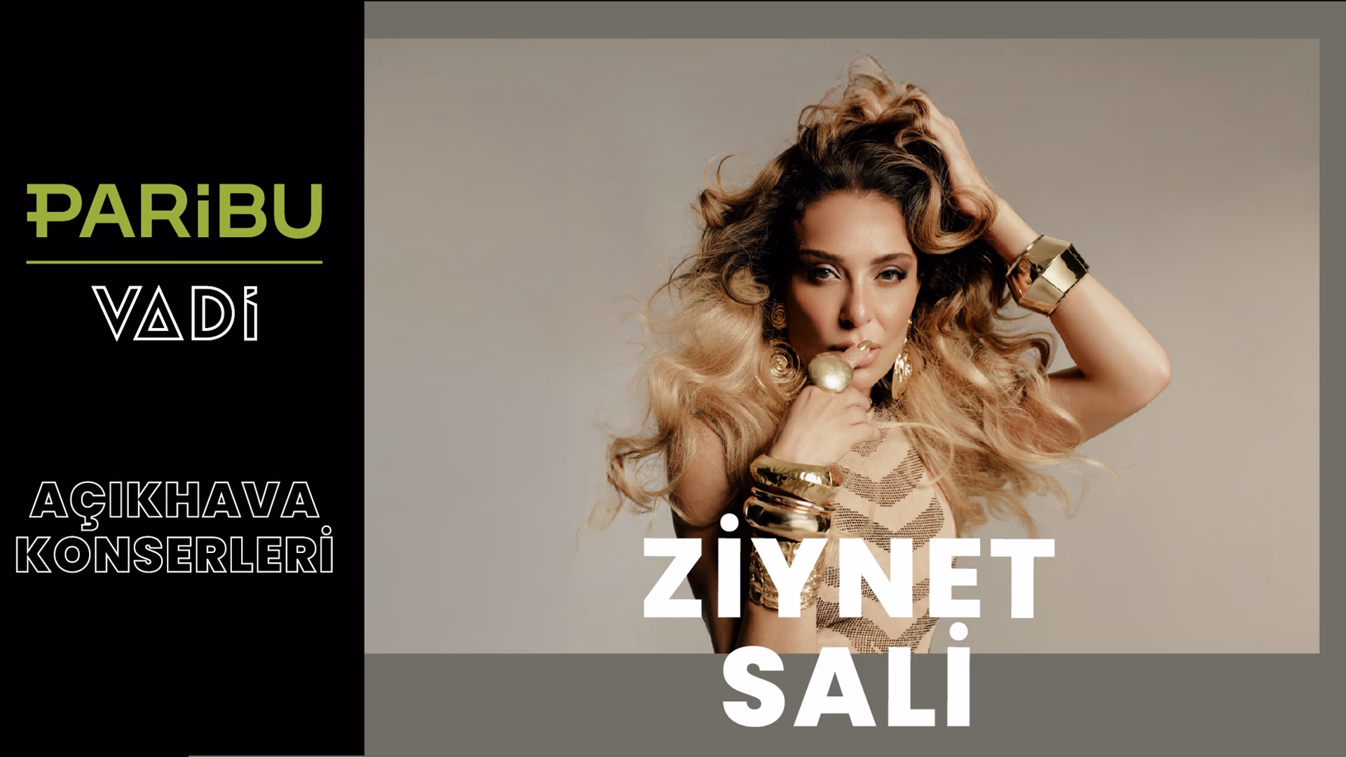Ziynet Sali