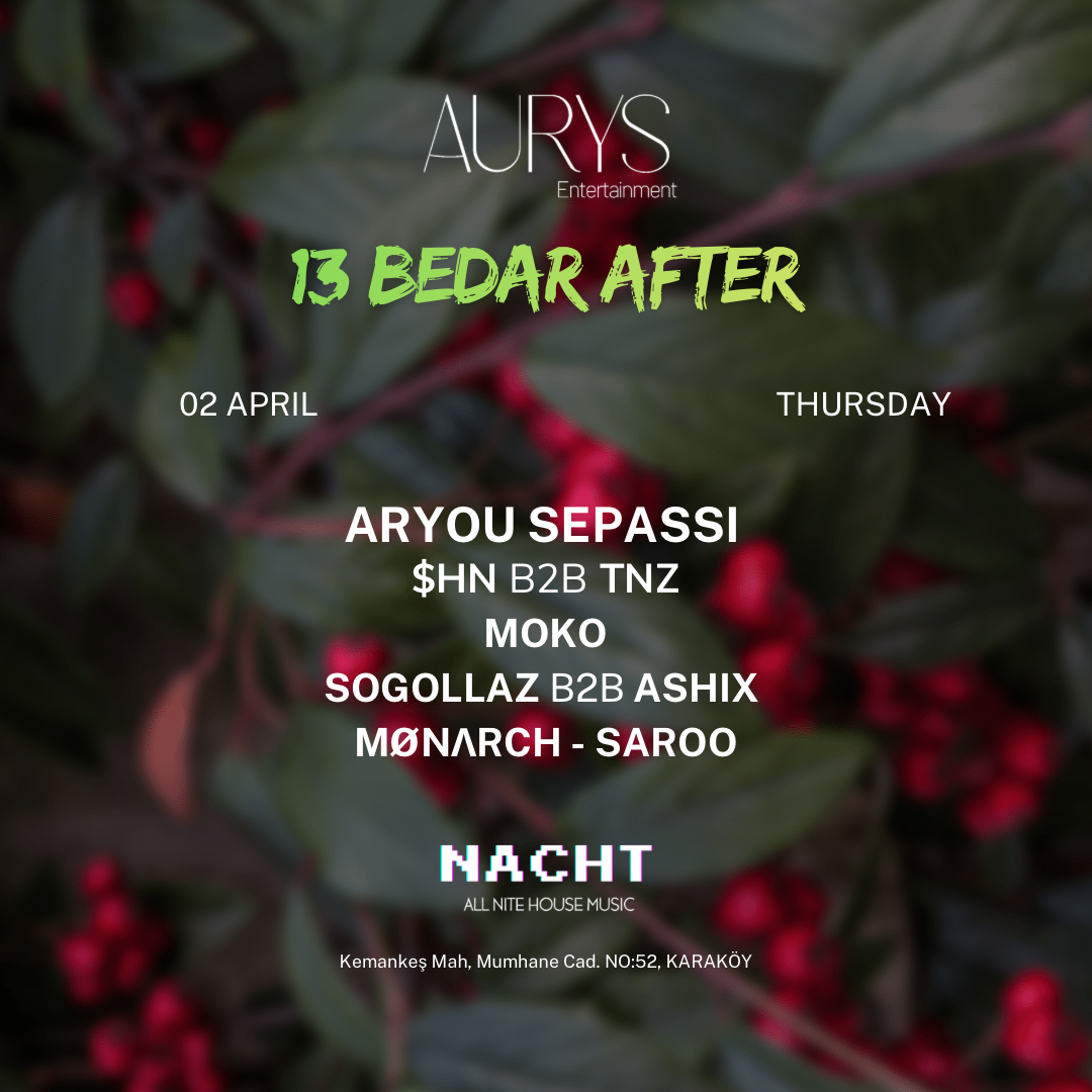 13 BEDAR AT NACHT