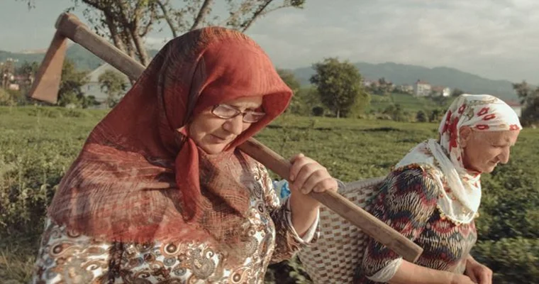 Berona