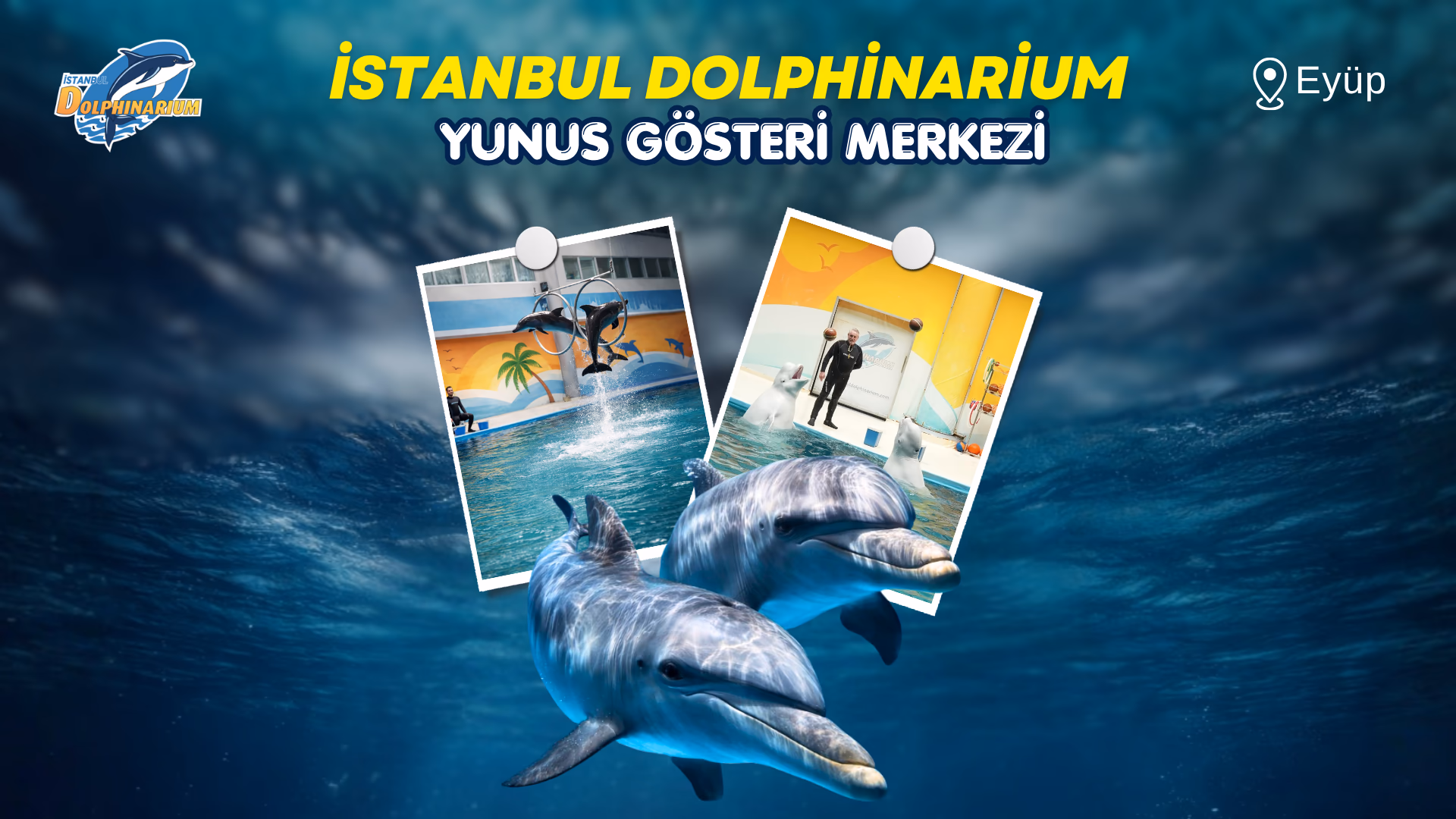 İstanbul Dolphinarium