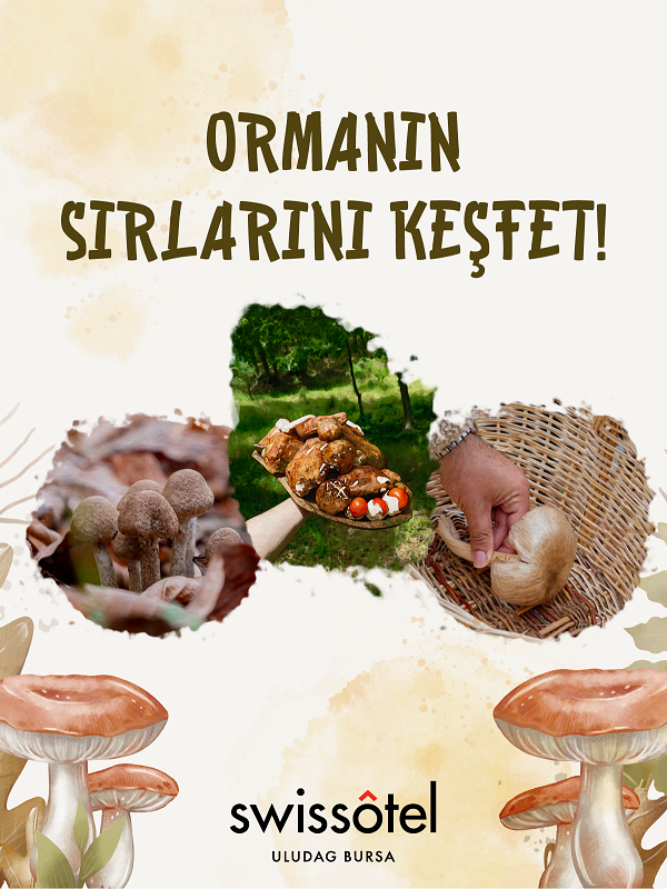 FungiTurkey ile Uludağ'da Mantar Avı