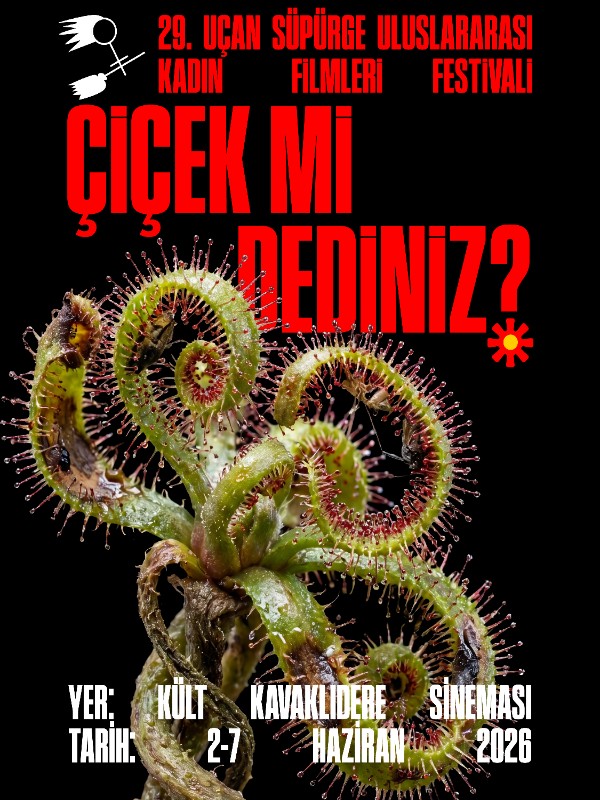 Ulusal Kısa - Kurmaca