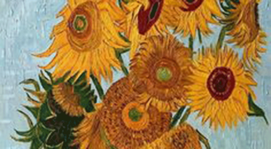 Resim - Sunflower

