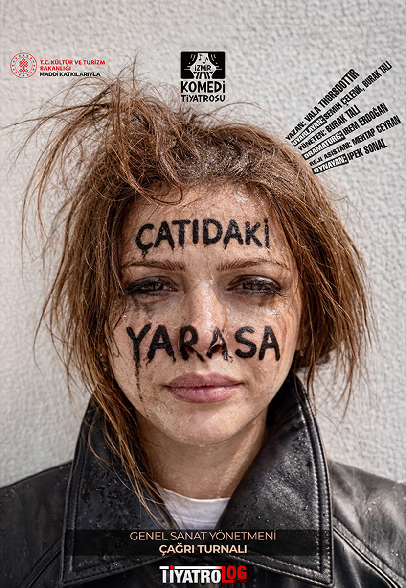 Çatıdaki Yarasa