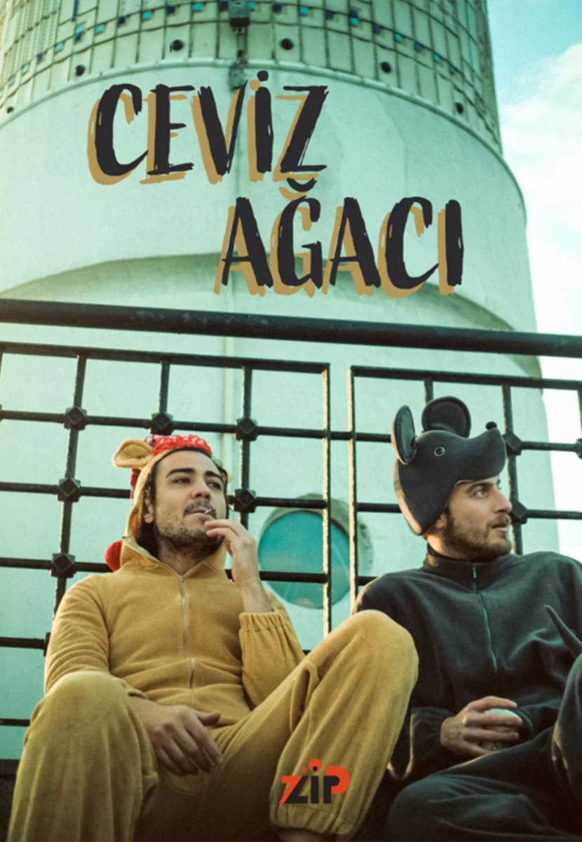Ceviz Ağacı