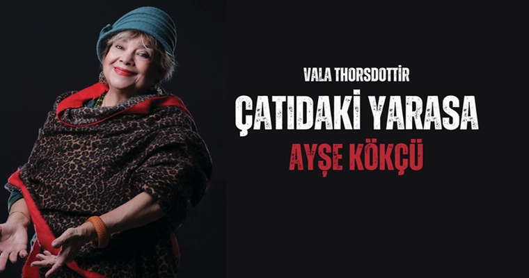 Çatıdaki Yarasa