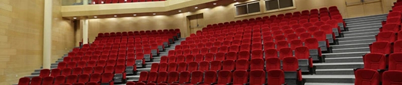Muğla Sıtkı Koçman Üniversitesi AKM - A Salonu